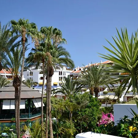 3 Santiago Playa Tenerife Estudio * Playa de las Américas